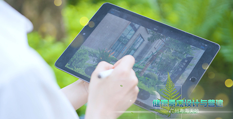 IM体育·(中国区)官方网站 -APP下载