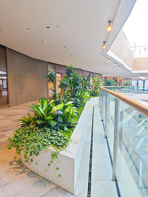 IM体育·(中国区)官方网站 -APP下载