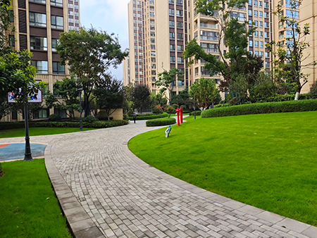 IM体育·(中国区)官方网站 -APP下载