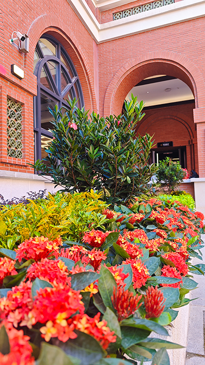 IM体育·(中国区)官方网站 -APP下载