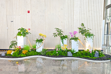 IM体育·(中国区)官方网站 -APP下载