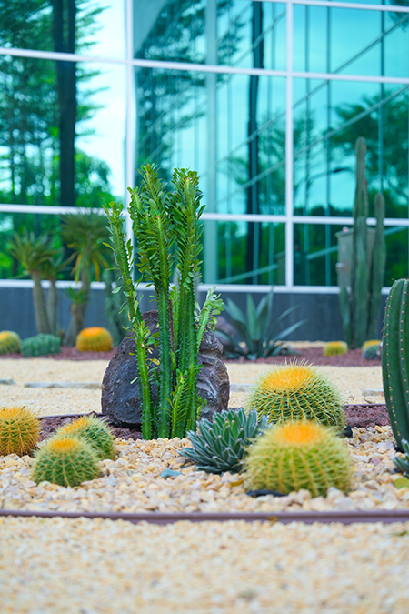 IM体育·(中国区)官方网站 -APP下载