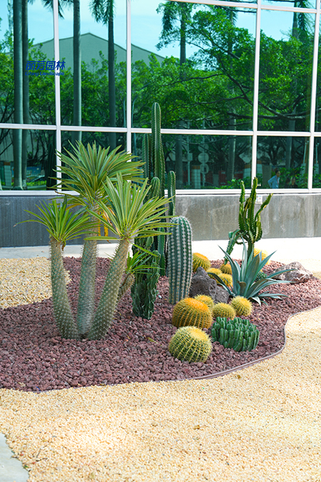 IM体育·(中国区)官方网站 -APP下载