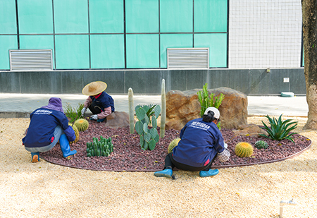 IM体育·(中国区)官方网站 -APP下载