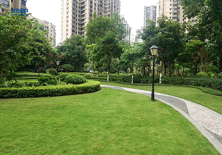 IM体育·(中国区)官方网站 -APP下载