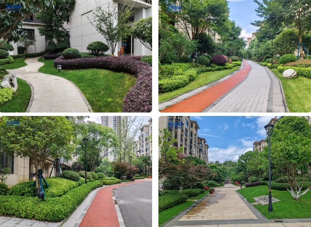 IM体育·(中国区)官方网站 -APP下载