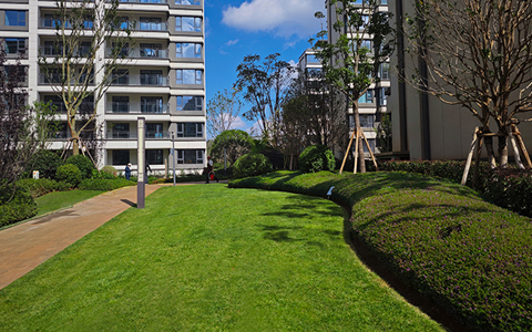 IM体育·(中国区)官方网站 -APP下载