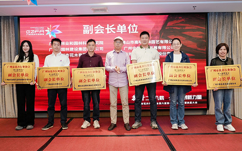 IM体育·(中国区)官方网站 -APP下载