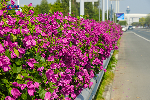 IM体育·(中国区)官方网站 -APP下载