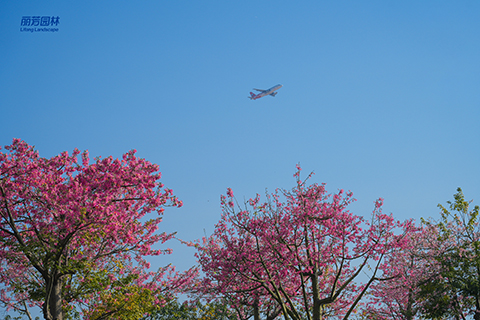 IM体育·(中国区)官方网站 -APP下载