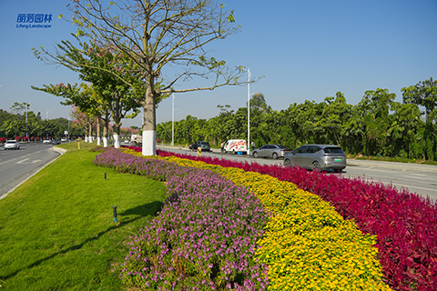 IM体育·(中国区)官方网站 -APP下载