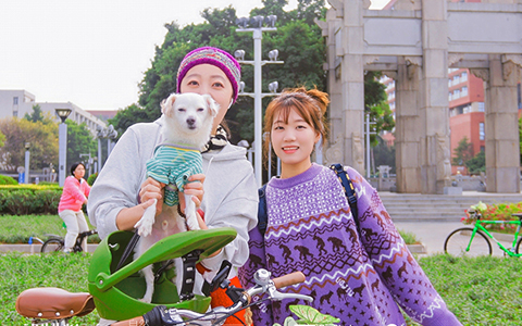 IM体育·(中国区)官方网站 -APP下载