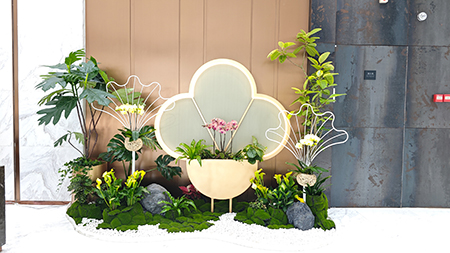 IM������(�й���)�ٷ���վ -APP����