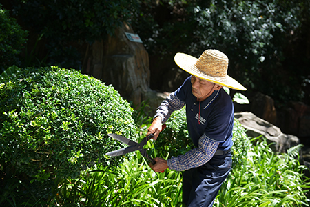 IM������(�й���)�ٷ���վ -APP����