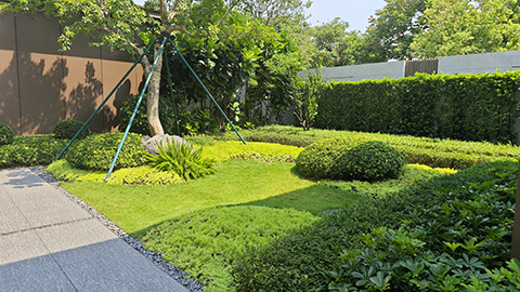 IM体育·(中国区)官方网站 -APP下载