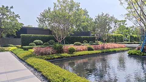 IM体育·(中国区)官方网站 -APP下载