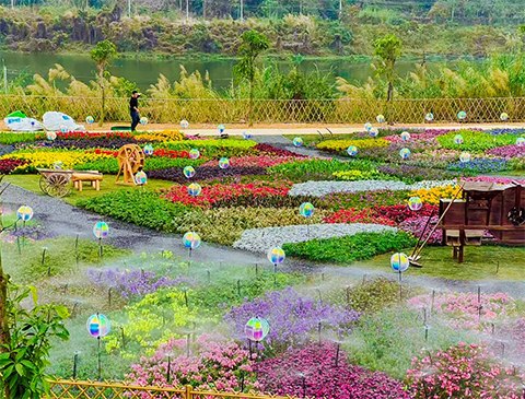 IM体育·(中国区)官方网站 -APP下载