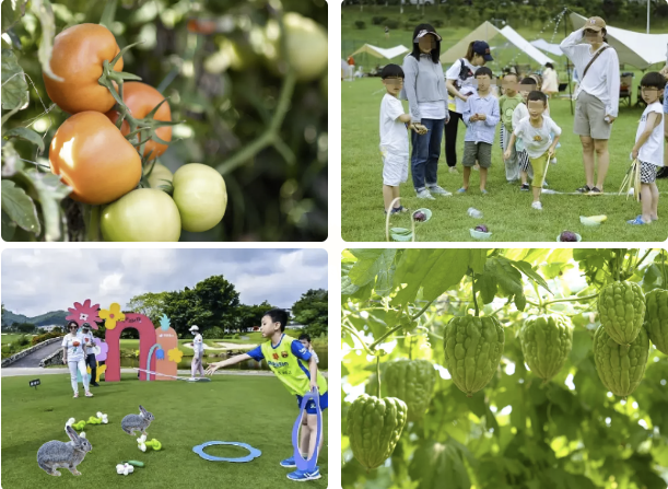 IM体育·(中国区)官方网站 -APP下载