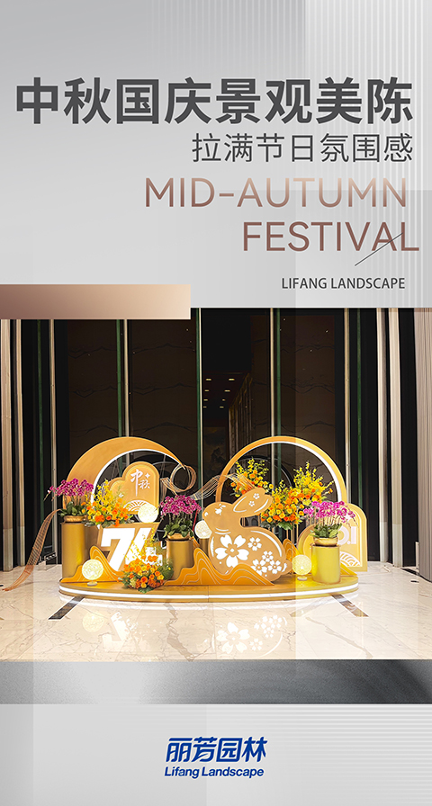 IM体育·(中国区)官方网站 -APP下载