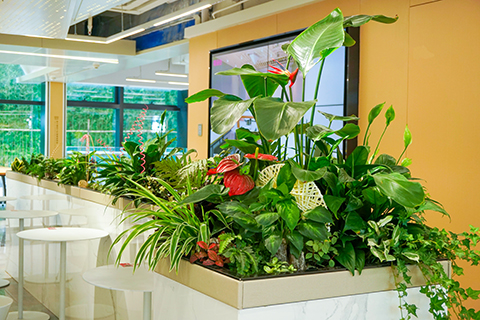 IM体育·(中国区)官方网站 -APP下载