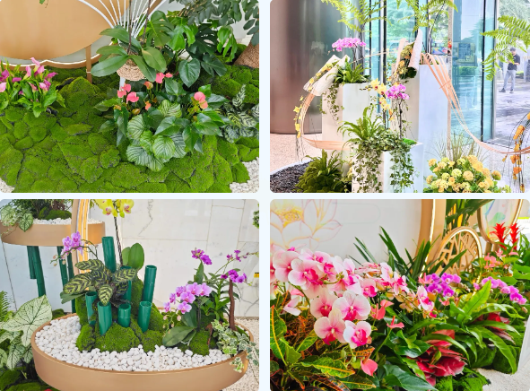 IM体育·(中国区)官方网站 -APP下载