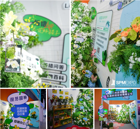 IM体育·(中国区)官方网站 -APP下载