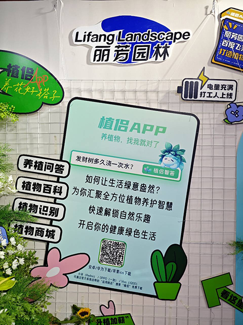 IM体育·(中国区)官方网站 -APP下载