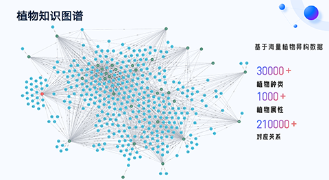 IM体育·(中国区)官方网站 -APP下载