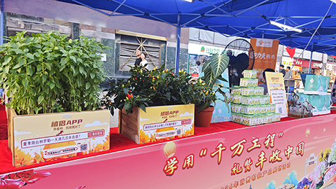 IM体育·(中国区)官方网站 -APP下载