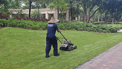 IM体育·(中国区)官方网站 -APP下载