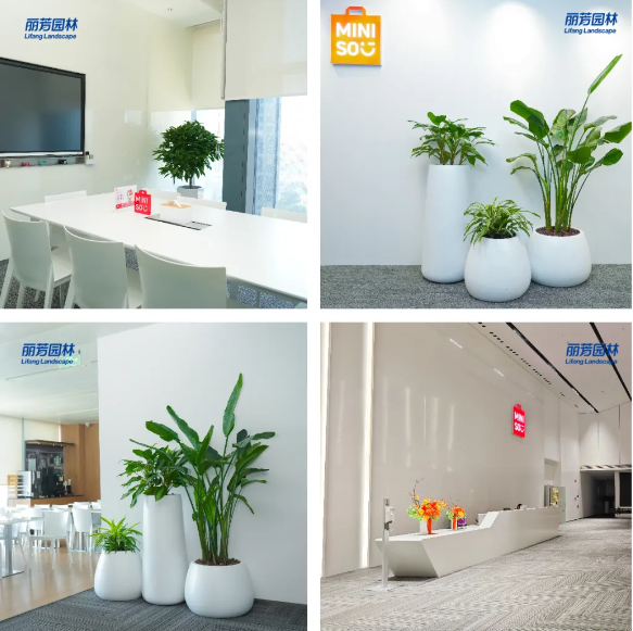 IM体育·(中国区)官方网站 -APP下载