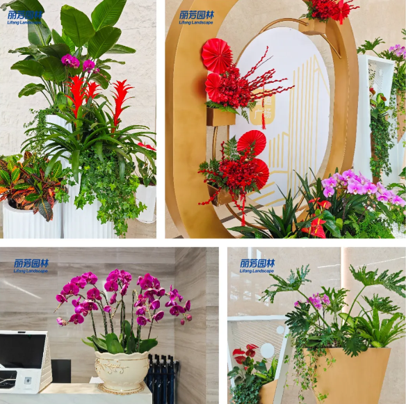 IM体育·(中国区)官方网站 -APP下载