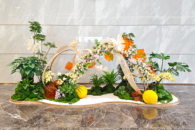 IM������(�й���)�ٷ���վ -APP����