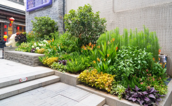 IM体育·(中国区)官方网站 -APP下载