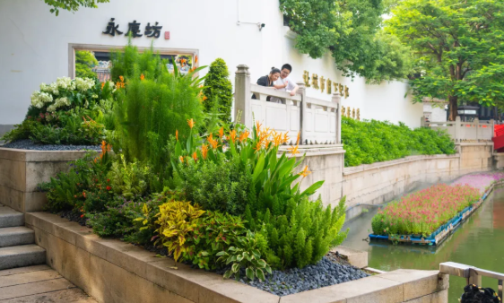 IM体育·(中国区)官方网站 -APP下载