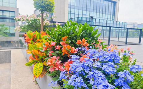 IM体育·(中国区)官方网站 -APP下载