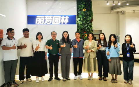 IM体育·(中国区)官方网站 -APP下载