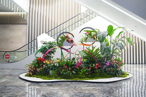 IM体育·(中国区)官方网站 -APP下载