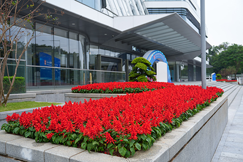 IM体育·(中国区)官方网站 -APP下载