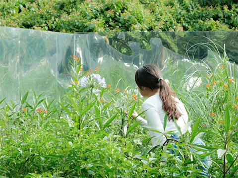 IM体育·(中国区)官方网站 -APP下载