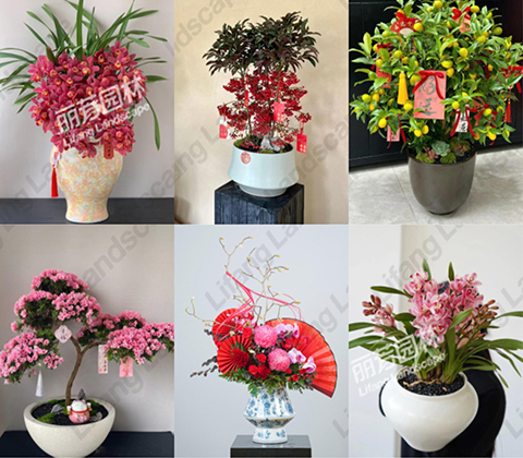 IM体育·(中国区)官方网站 -APP下载