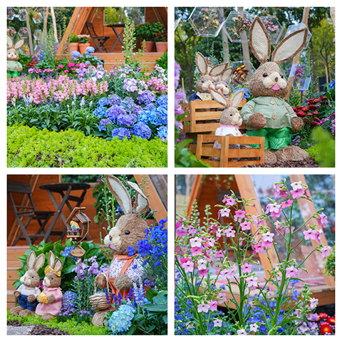 IM体育·(中国区)官方网站 -APP下载