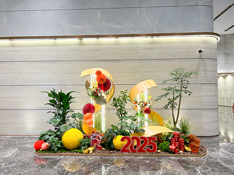 IM体育·(中国区)官方网站 -APP下载