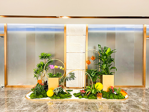 IM体育·(中国区)官方网站 -APP下载