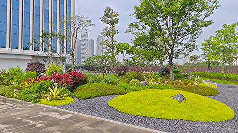 IM体育·(中国区)官方网站 -APP下载