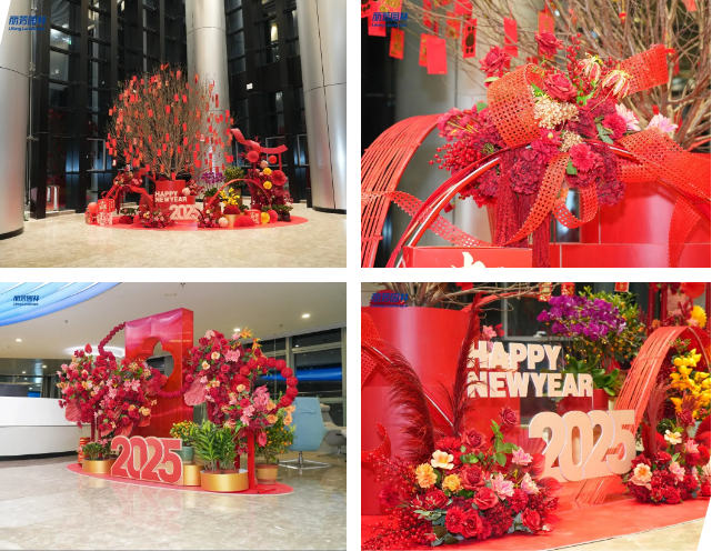 IM体育·(中国区)官方网站 -APP下载