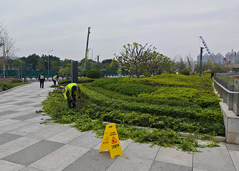 IM体育·(中国区)官方网站 -APP下载