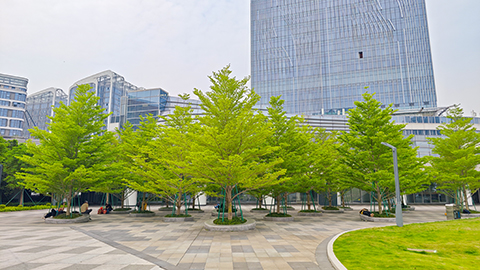 IM体育·(中国区)官方网站 -APP下载