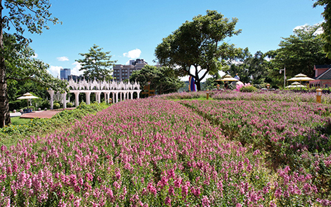 IM体育·(中国区)官方网站 -APP下载