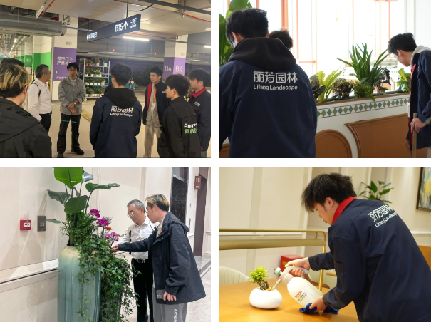 IM体育·(中国区)官方网站 -APP下载